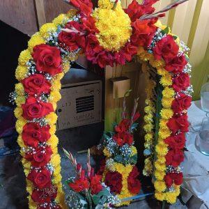 Arco y Conos