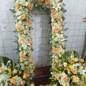 Arco y Conos